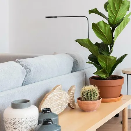 Petit Luxe L'atic تيراسا