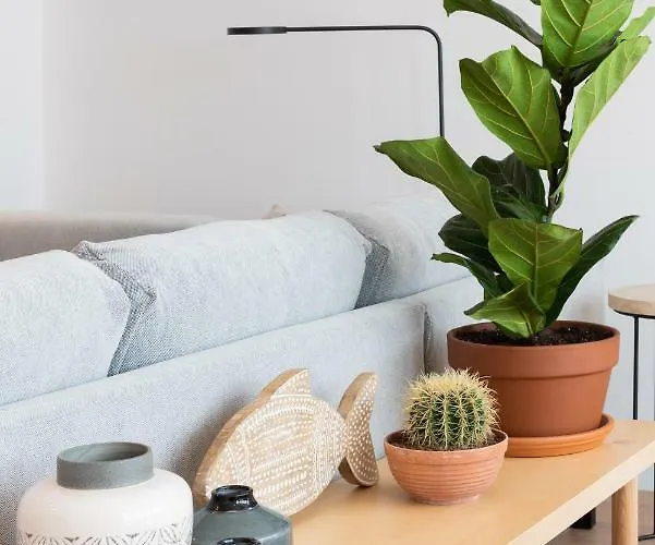Petit Luxe L'atic טראסה